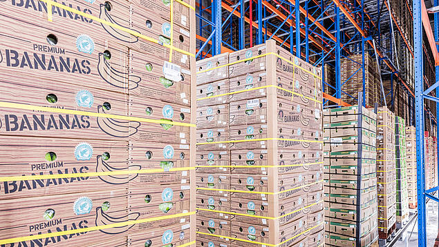 Kühllagerung von Fruchtladung im HHLA Frucht- und Kühl-Zentrum: Blick in eine klimatisierte Lagerhalle mit hoch gestapelten Paletten voller Bananenkartons. Das Bild verdeutlicht die professionelle Lagerung unter kontrollierten Bedingungen.